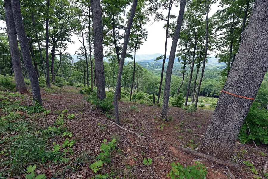 Lot 112 Highland, Blairsville, GA 30512 - #2