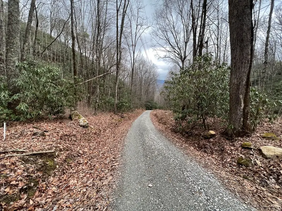 Lot 170 Granny Squirrel Drive, Andrews, NC 28901 - #2