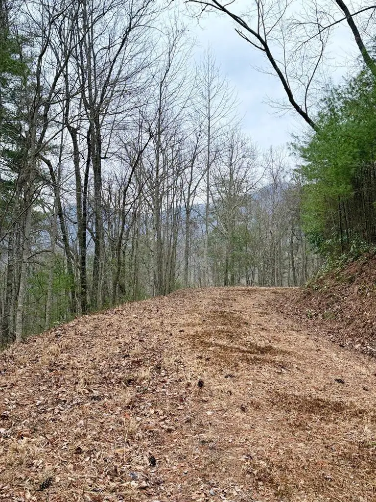 46/51 Big Secret Lane, Murphy, NC 28906 - #1