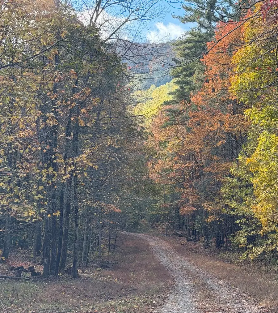 46/51 Big Secret Lane, Murphy, NC 28906 - #3
