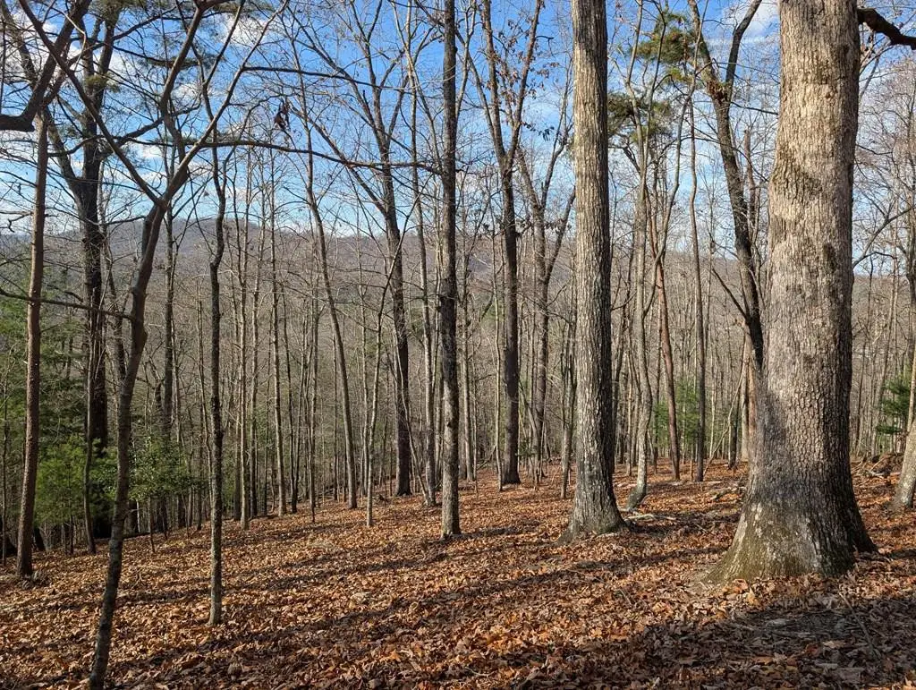 902 Mountain Top Drive, Murphy, NC 28906 - #1