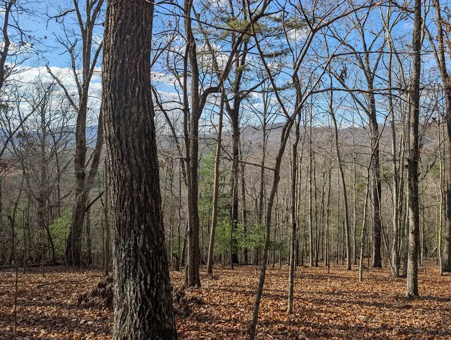 902 Mountain Top Drive, Murphy, NC 28906 - #3