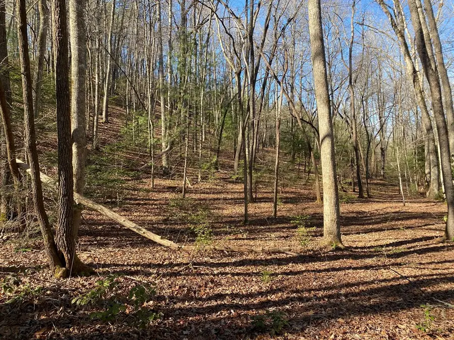 TBD Collett Wood Cove, Andrews, NC 28901 - #3
