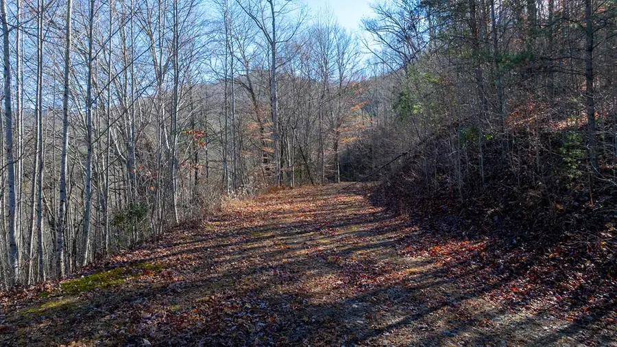 1-3 Santeetlah Heights, Robbinsville, NC 28771 - #2