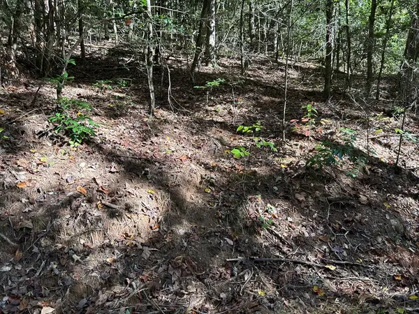 Lot 6 Beaverdam Loop, Murphy, NC 28906