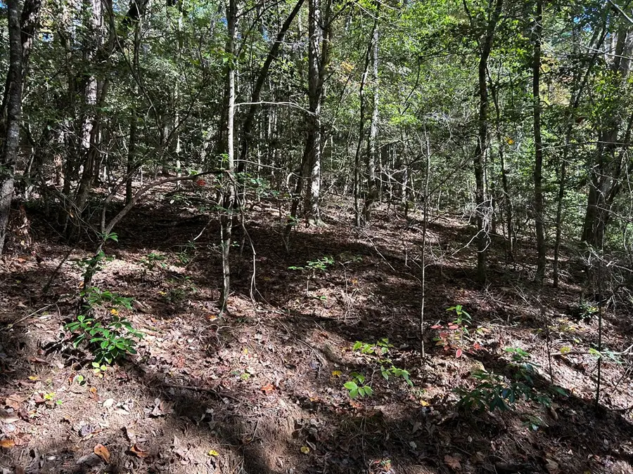 Lot 6 Beaverdam Loop, Murphy, NC 28906 - #2