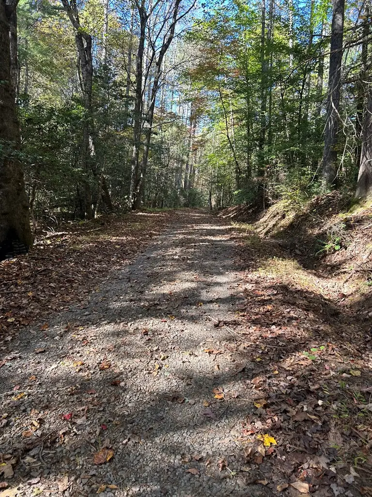 Lot 6 Beaverdam Loop, Murphy, NC 28906 - #3