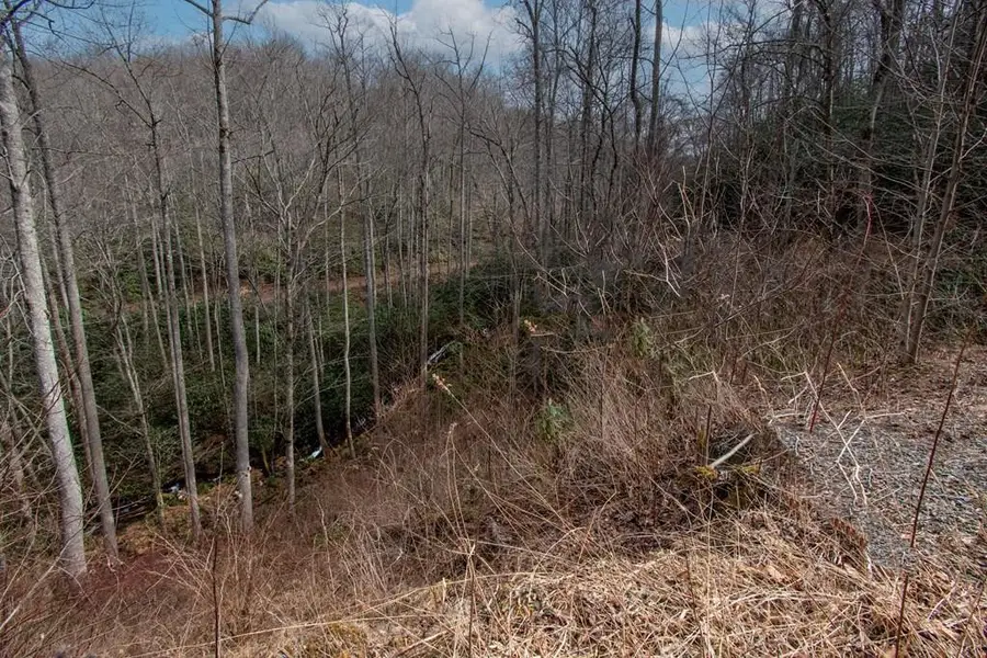 00 Walnut Cove Branch, Robbinsville, NC 28771 - #2