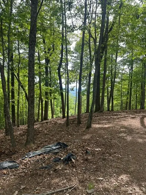 Lot 4 Hampton Knob, Murphy, NC 28906 - #1
