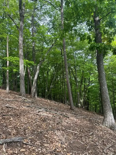 Lot 4 Hampton Knob, Murphy, NC 28906 - #2