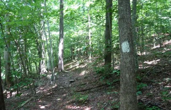 3.25 Ac Wilscott Mountain Drive, Murphy, NC 28906
