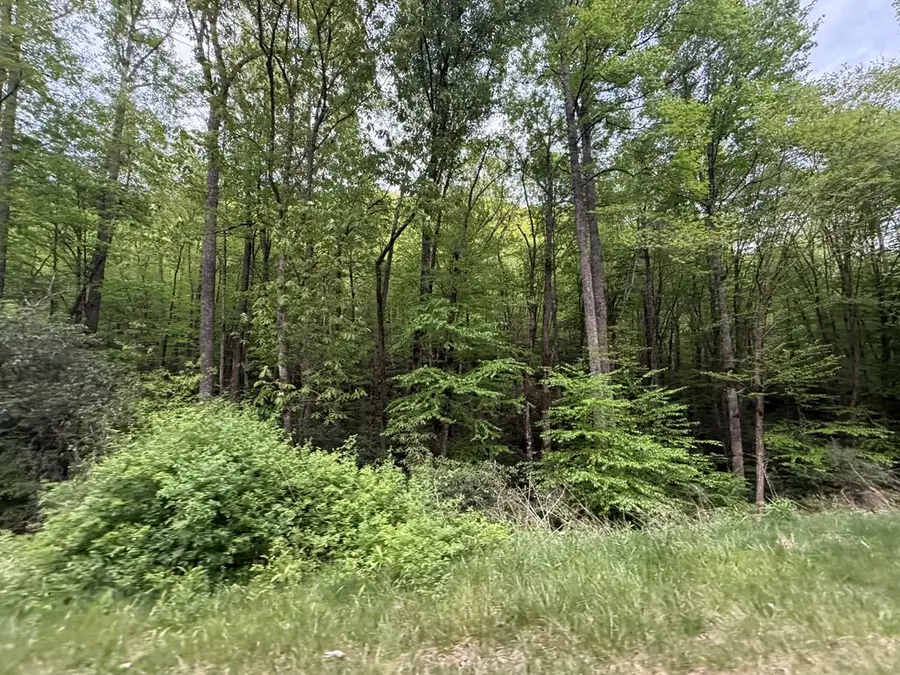 2 lots Warrior Way Road, Valleytown, NC 28781 - #3