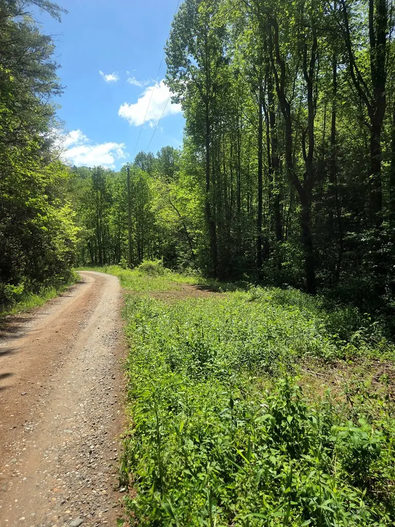 00 Vincent Colvin Road, Robbinsville, NC 28771 - #2