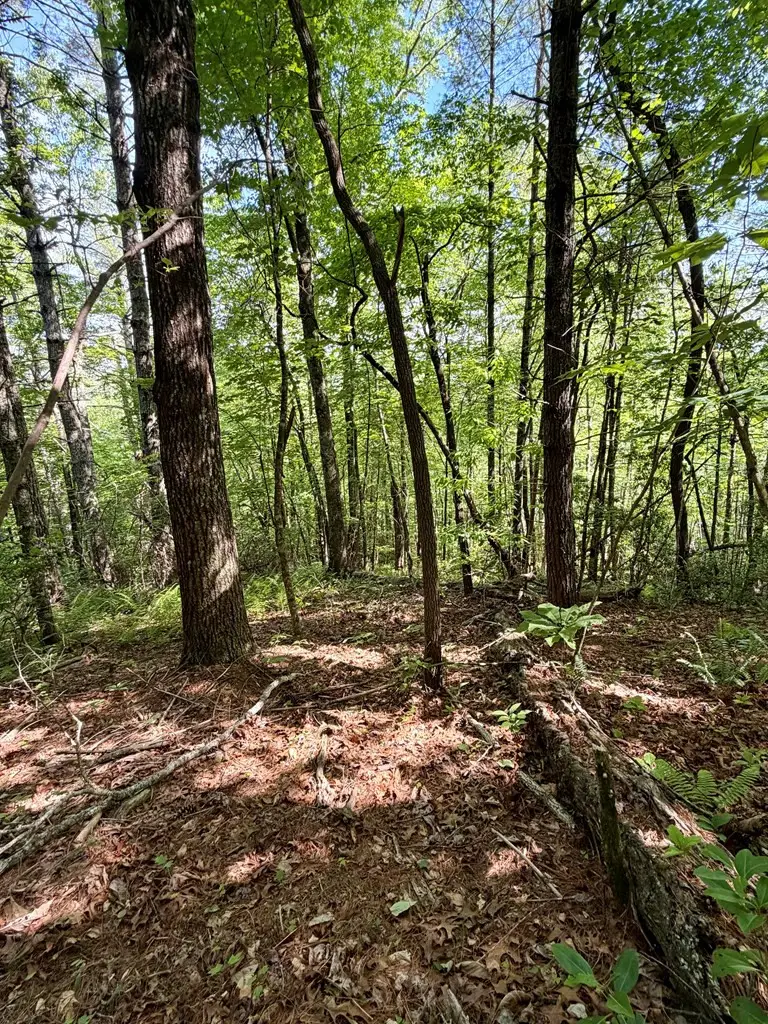 675 Ed Graves Road, Murphy, NC 28906 - #2