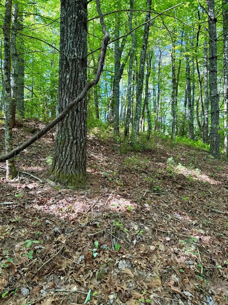 675 Ed Graves Road, Murphy, NC 28906 - #3