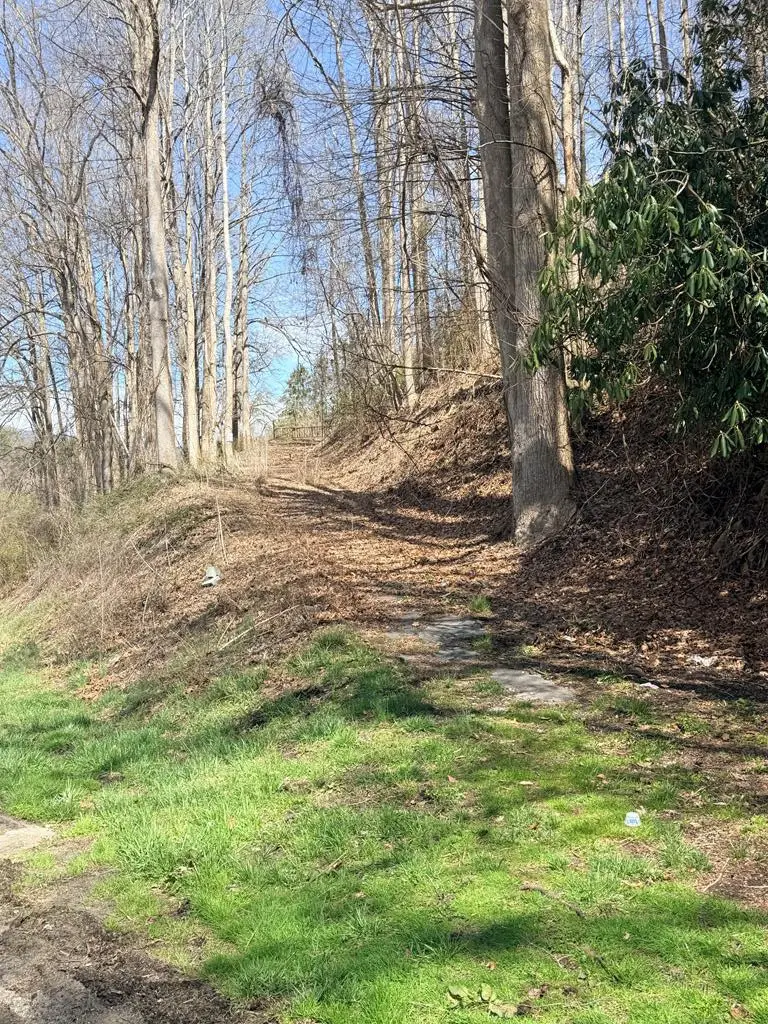1021 Us Highway 19, Topton, NC 28781 - #1