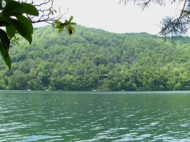 lot 41 Indian Lake Drive, Topton, NC 28781 - #1