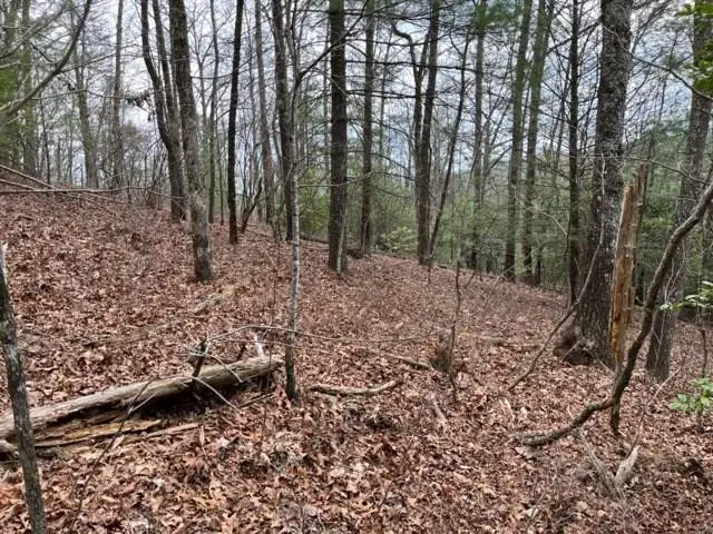 Lot 33 Sahkanaga Drive, Murphy, NC 28906 - #1