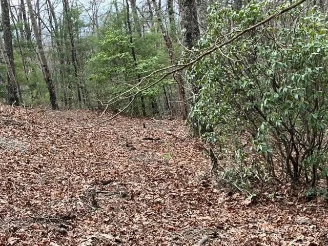 Lot 33 Sahkanaga Drive, Murphy, NC 28906 - #2