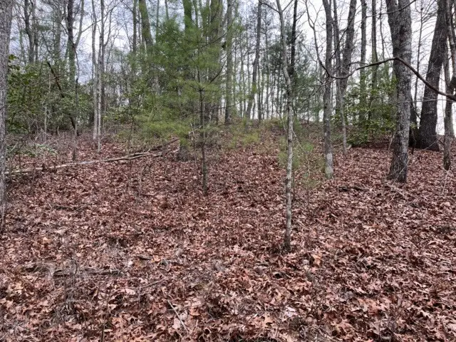Lot 33 Sahkanaga Drive, Murphy, NC 28906 - #3