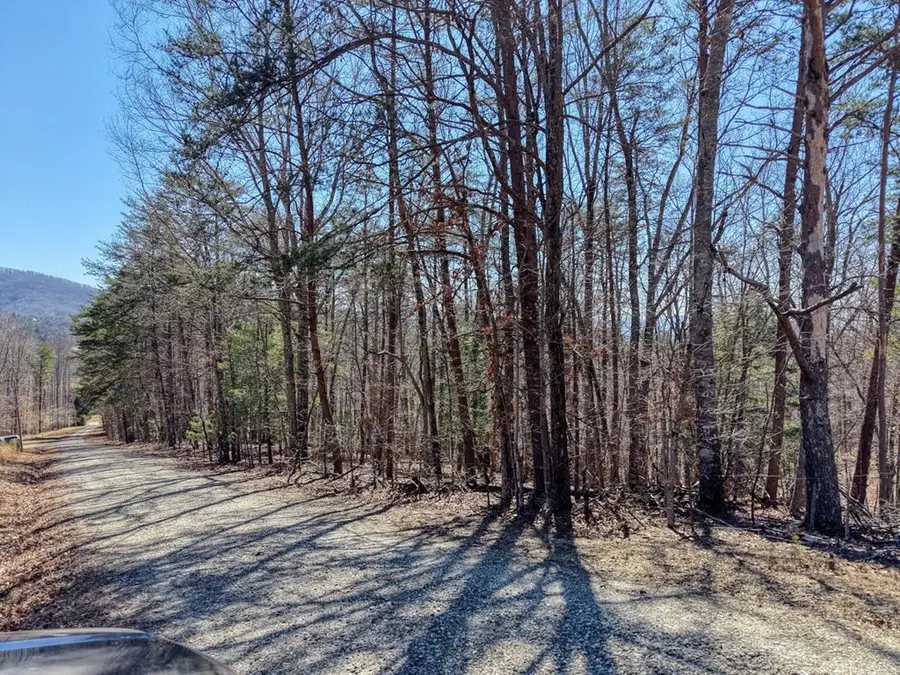 3.46 Acres, Blairsville, GA 30512 - #3
