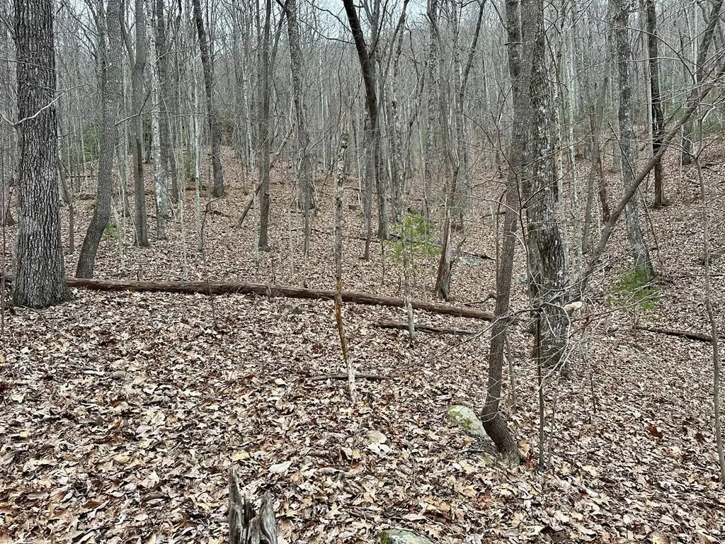 15-19 Indian Rock Springs, Murphy, NC 28906 - #1