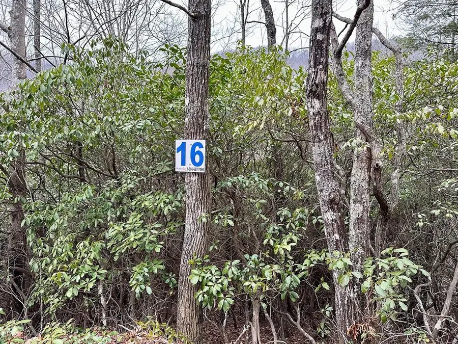 15-19 Indian Rock Springs, Murphy, NC 28906 - #3