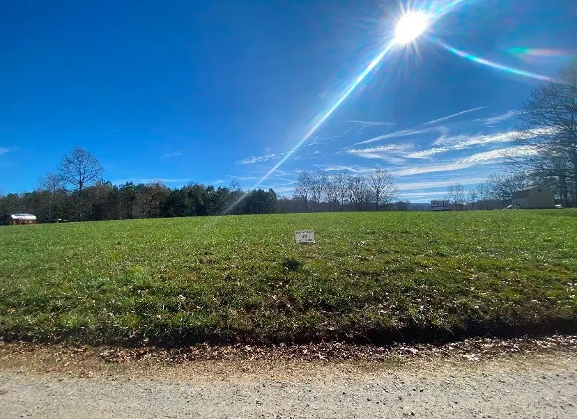 38 Holly Point Drive, Murphy, NC 28906 - #3