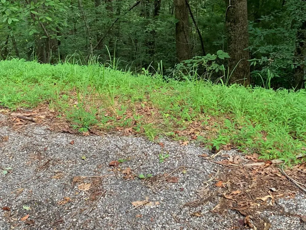 43 Laurel Lane, Murphy, NC 28906 - #1