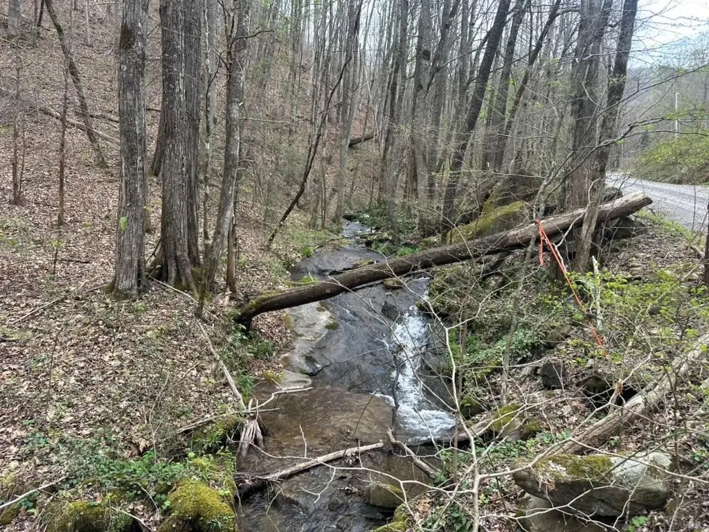 TBD Clearview, Murphy, NC 28906 - #1