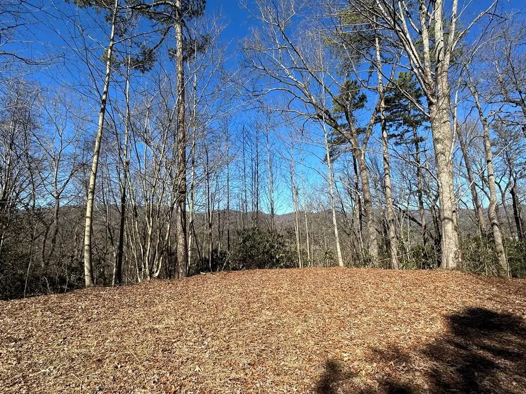 Address Withheld By Seller, Marble, NC 28905 - #1