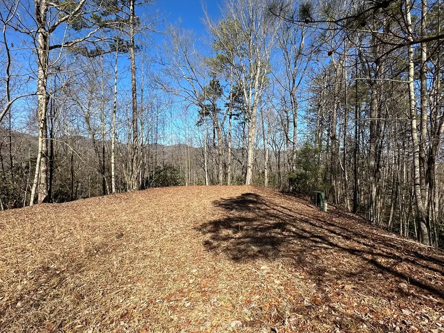 Address Withheld By Seller, Marble, NC 28905 - #3