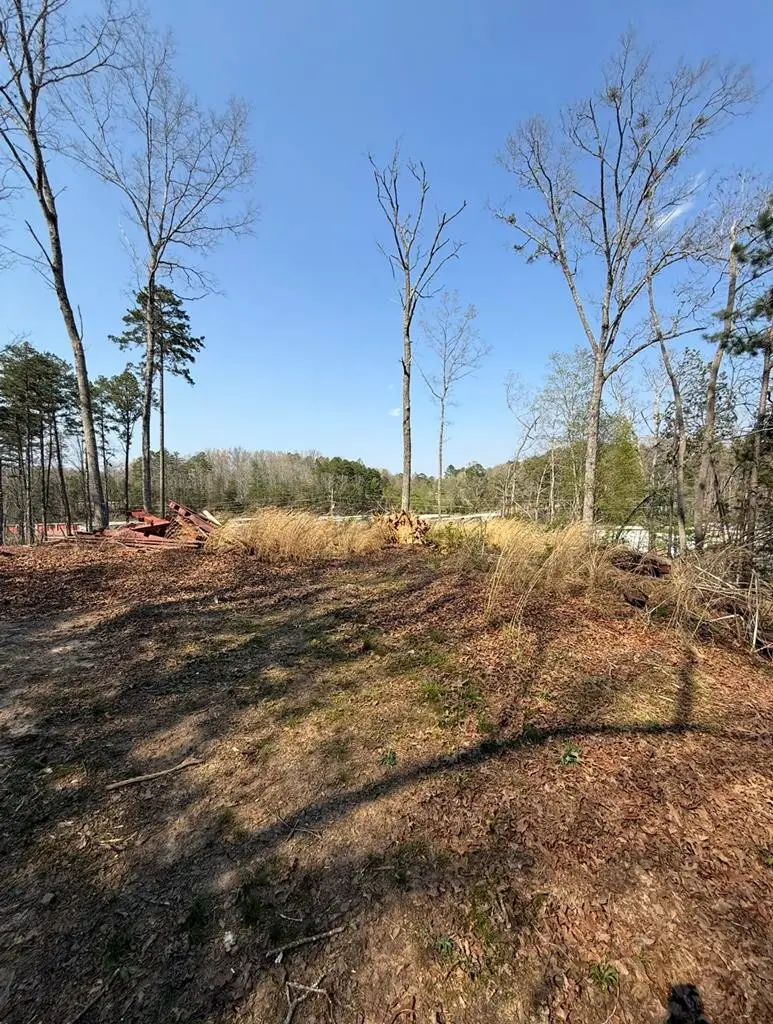 123 Longridge Road, Murphy, NC 28906 - #1