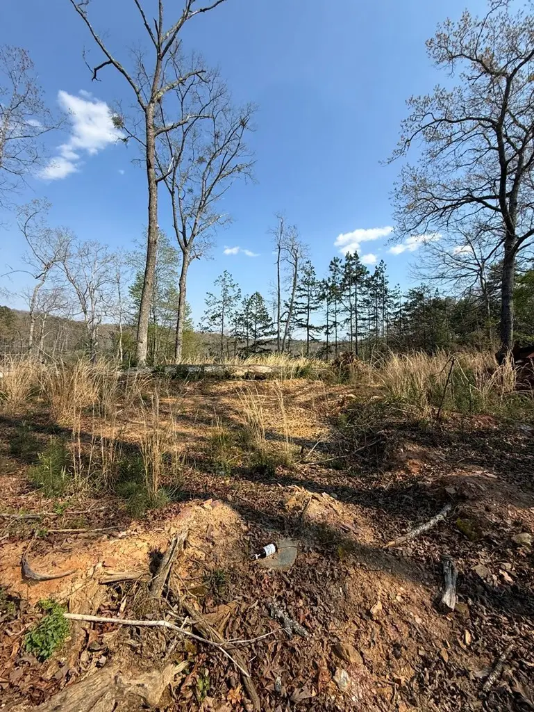 123 Longridge Road, Murphy, NC 28906 - #2