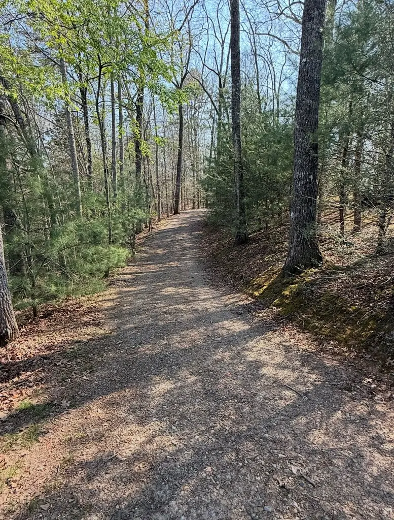 123 Longridge Road, Murphy, NC 28906 - #3