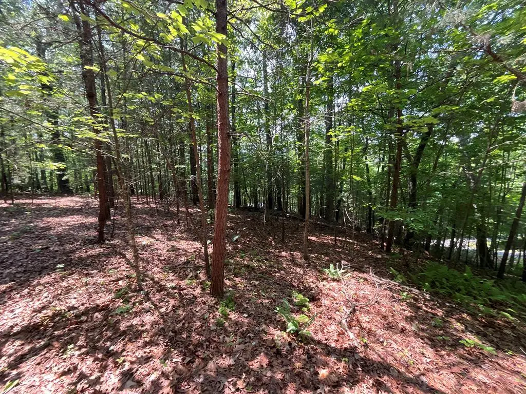 5 Birds View Lane, Murphy, NC 28906 - #1