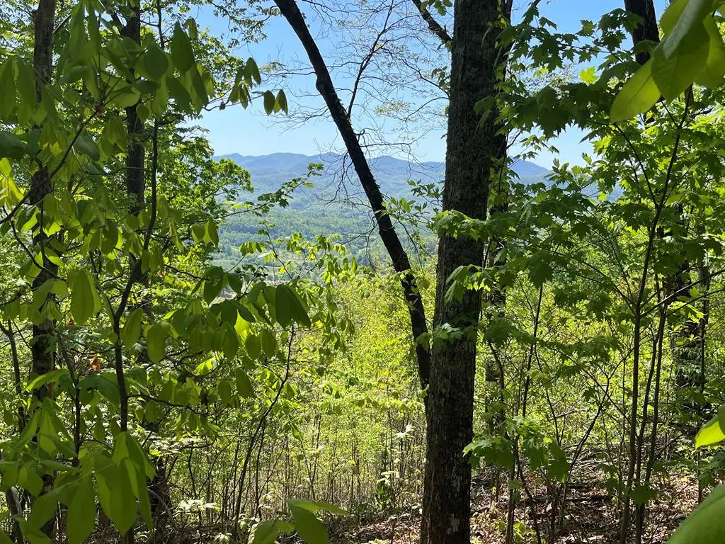 Lot 11j Ash Branch View, Hayesville, NC 28904 - #1