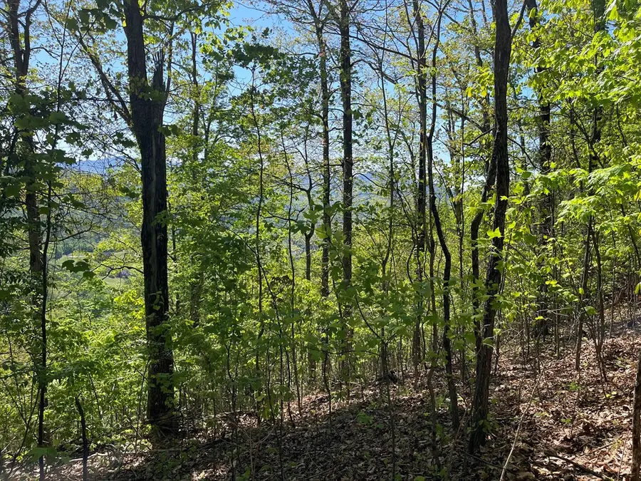 Lot 11j Ash Branch View, Hayesville, NC 28904 - #3