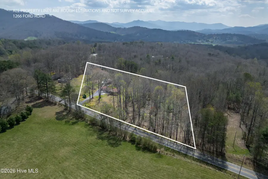 1266 Ford Road, Warne, NC 28909 - #2
