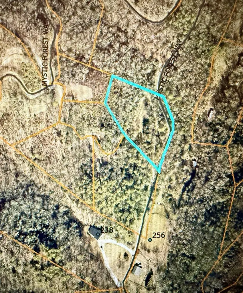 Lot 25 Mystic Frst Way, Bryson City, NC 28713 - #1