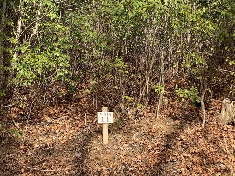 LOT # 11 Forest Vista Lane, Nantahala, NC 28781 - #2