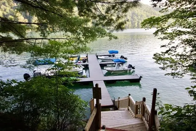 LOT # 11 Forest Vista Lane, Nantahala, NC 28781 - #3