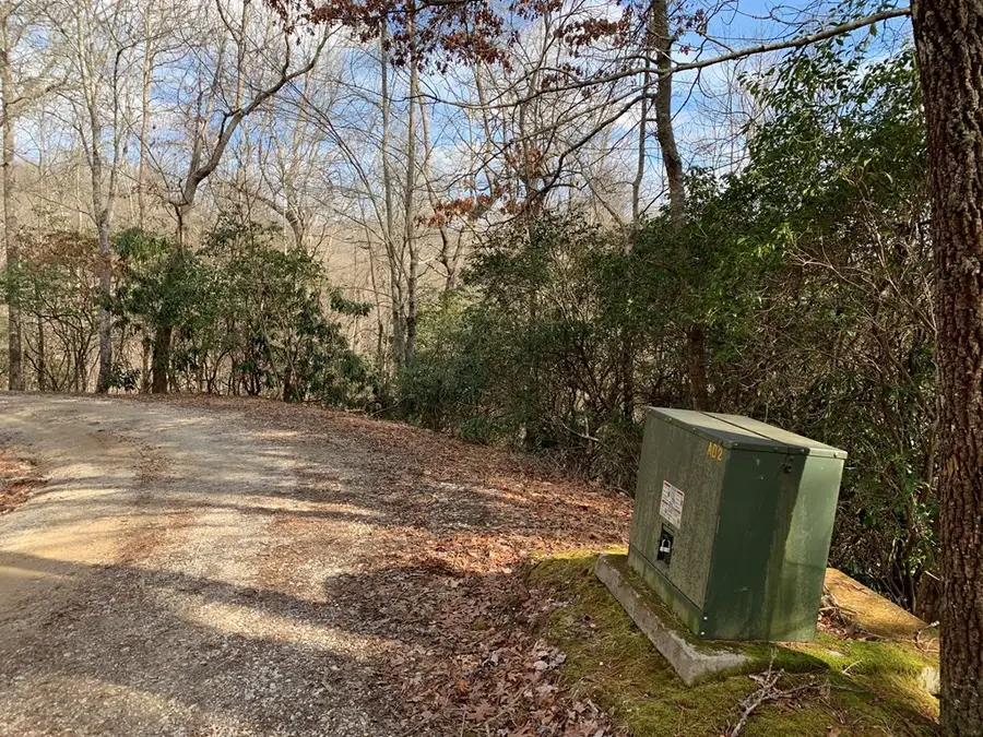 Lot# 10 Forest Vista Lane, Nantahala, NC 28781 - #2