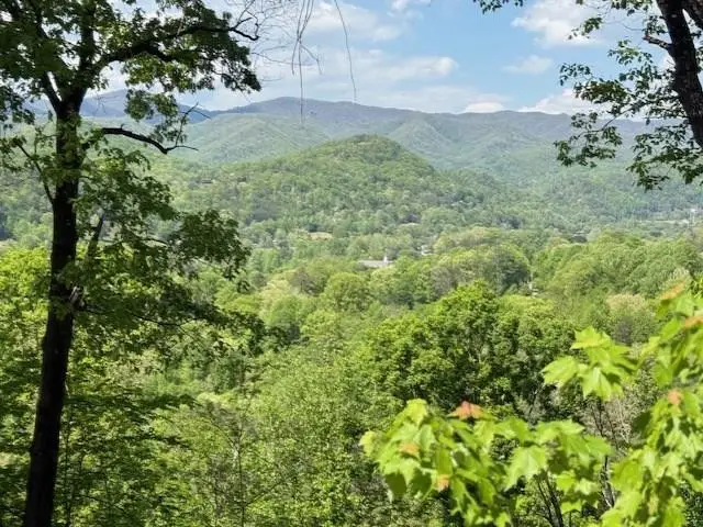 Lot 43 Silo View, Marble, NC 28905 - #1