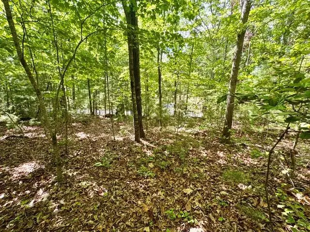 LT 3 Rockridge Road, Murphy, NC 28906 - #2