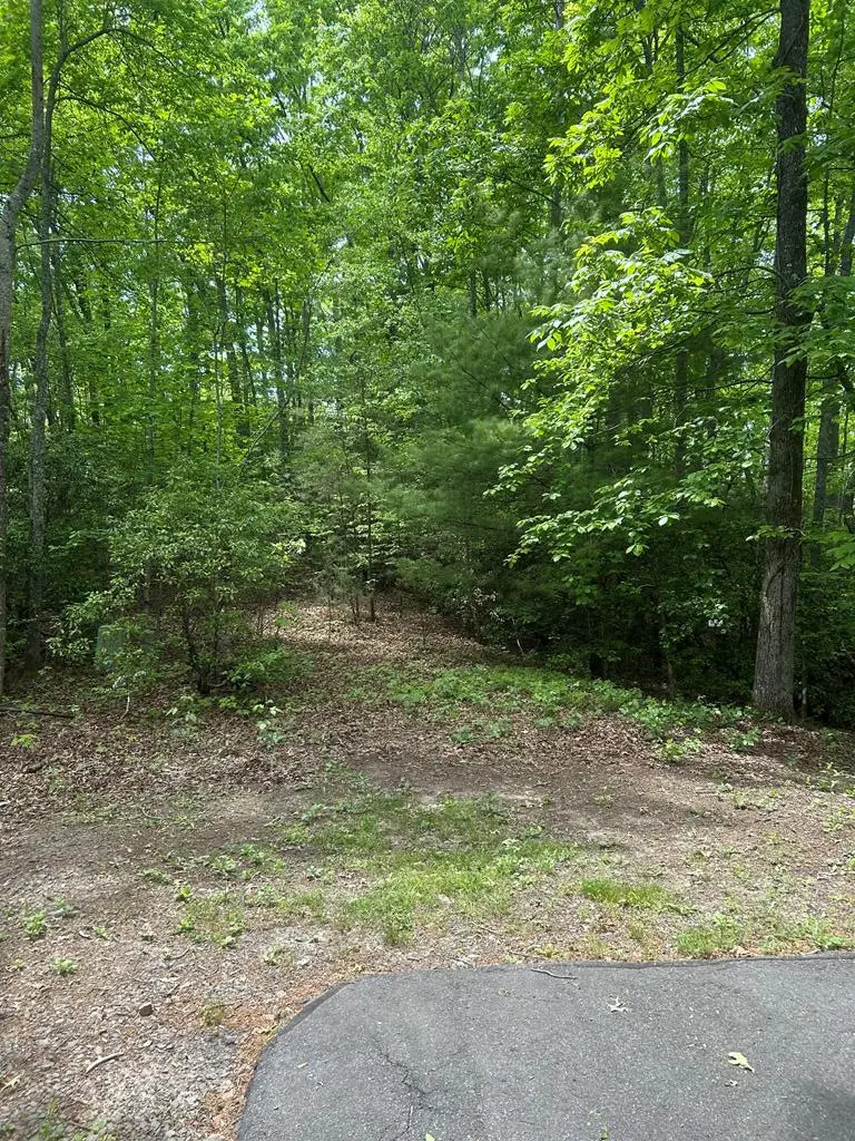 00 Sierra Springs, Murphy, NC 28906 - #1