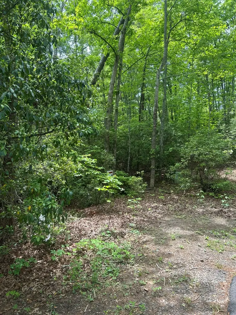 00 Sierra Springs, Murphy, NC 28906 - #2