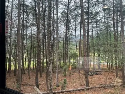 Lot 5 Morganton Highway, Blairsville, GA 30512 - #3
