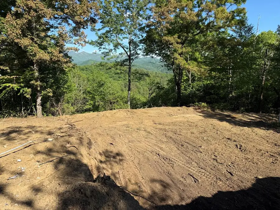 294 Shearer Ridge, Hayesville, NC 28904 - #3