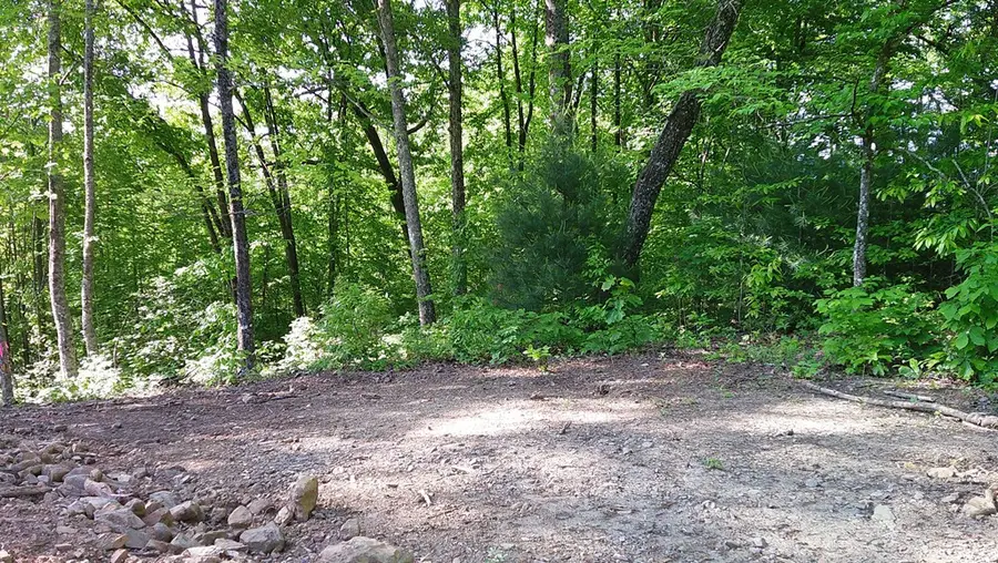 Lot 8 Fain Peak, Murphy, NC 28906 - #3